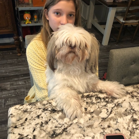 Meet your Posher, Elizabeth - Picture 13 of 16